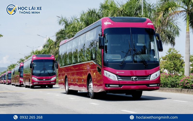 Giới thiệu khóa học nâng hạng D tại Bình Dương